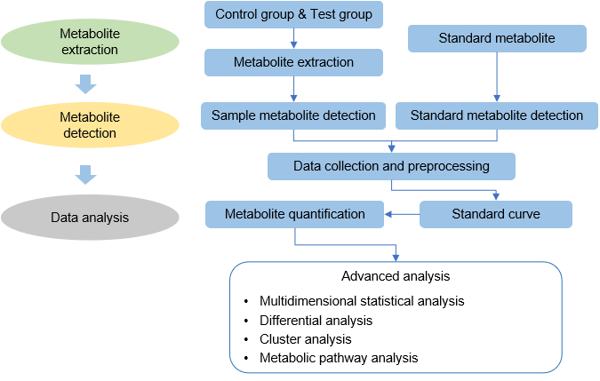 Technical Route of Targeted Metabolomics of Citric Acid