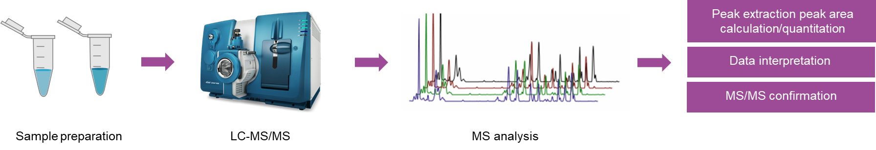 The overall workflow of CoA metabolites analysis
