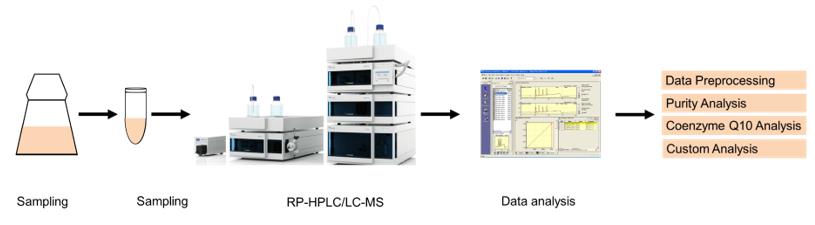 Coenzyme Q10 analysis service workflow.