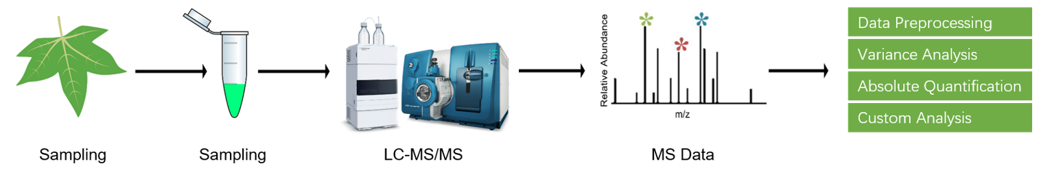 Cytokinins analysis service workflow.