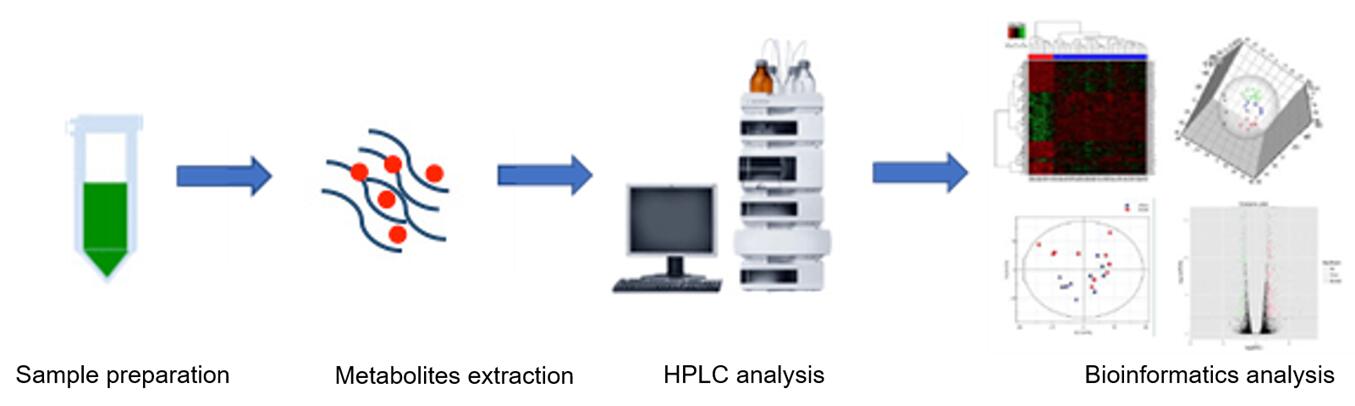 The overall workflow of daidzein analysis