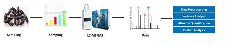 Dicoumarol analysis service workflow