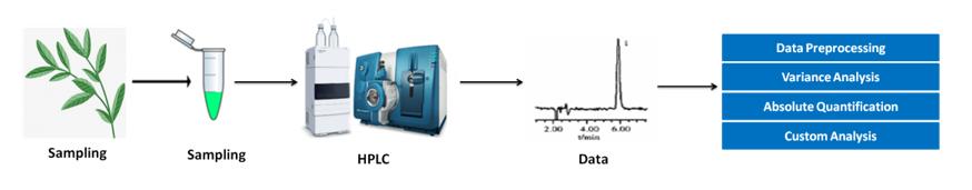 Dihydroflavanones Analysis