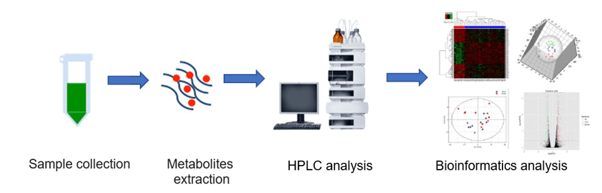 The overall workflow of energy metabolism service.