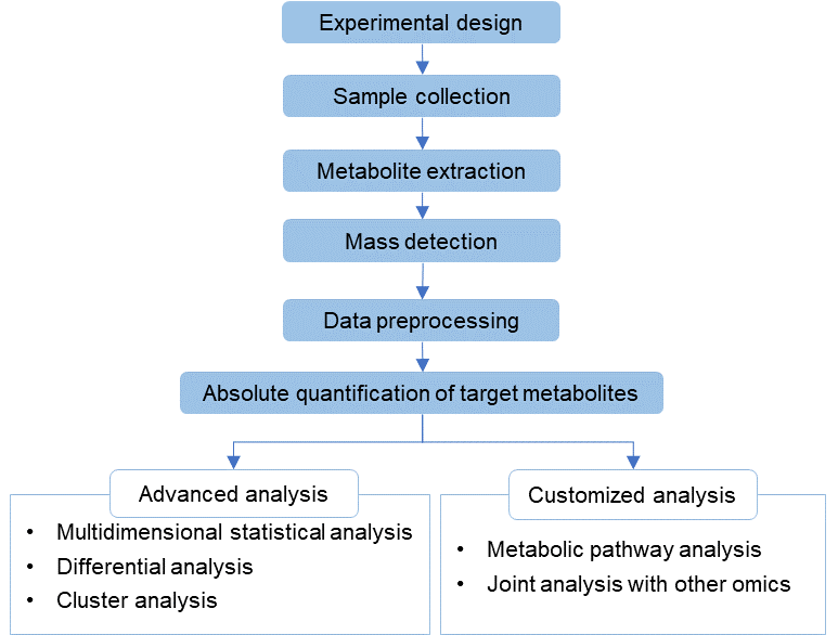 Technical Route of Targeted Metabolomics of Erythrose-4-phosphate