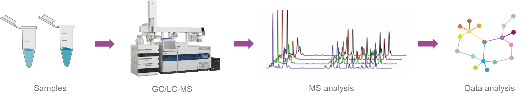 Fatty acids analysis service workflow.
