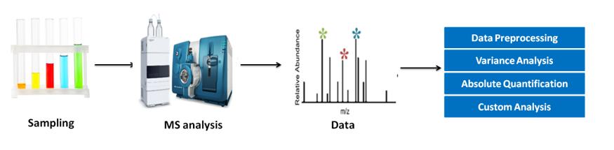 Flavonols Analysis