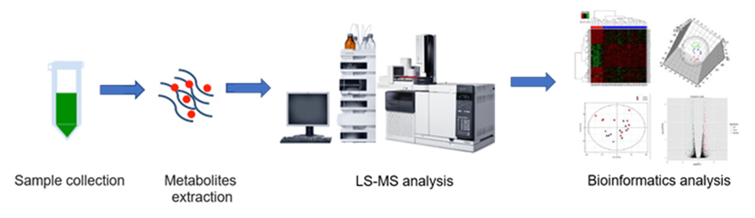 The overall workflow of TCA cycle metabolism service.