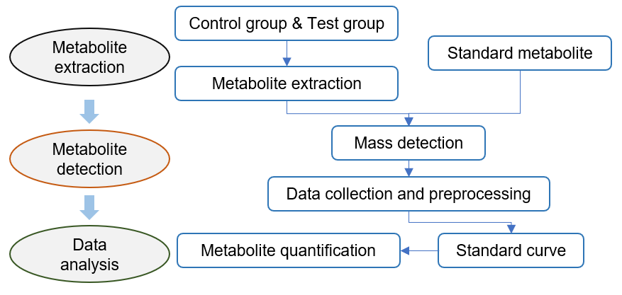 Technical Workflow of Targeted Metabolomics of Fucoxanthin