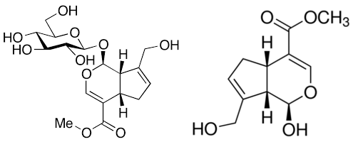 Geniposide and Genipin