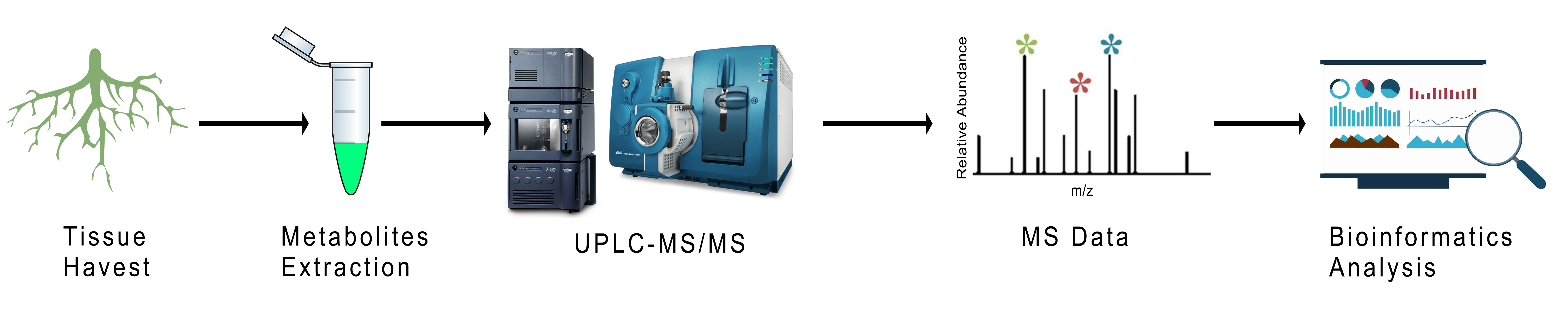Gibberellins (GA) Analysis Service