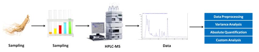 Ginsenoside analysis service workflow