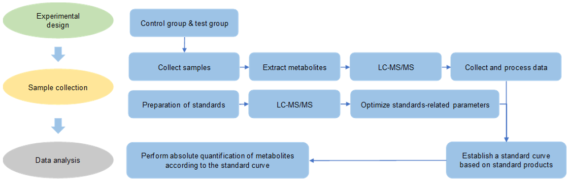 Β-alanine analysis service workflow.)