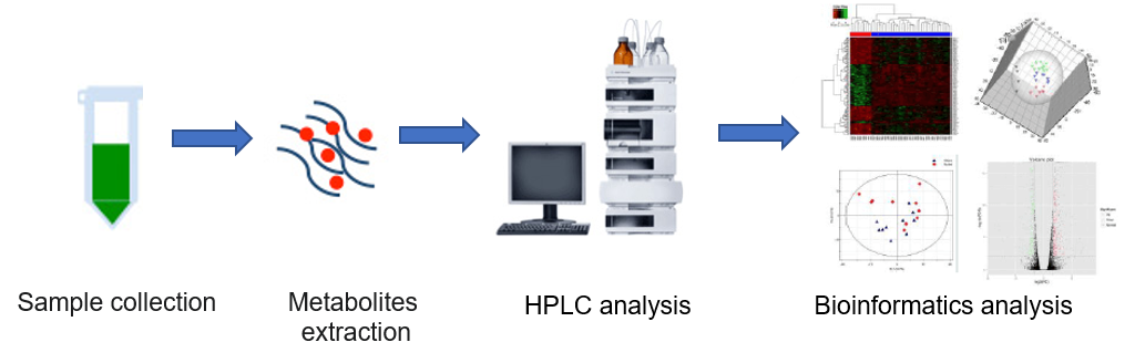Glyoxylate and dicarboxylate Metabolism