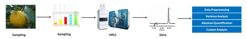 Hesperetin analysis service workflow