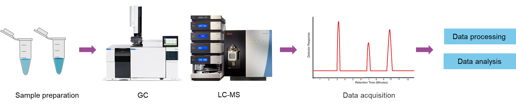 The workflow of hexanoic acid analysis