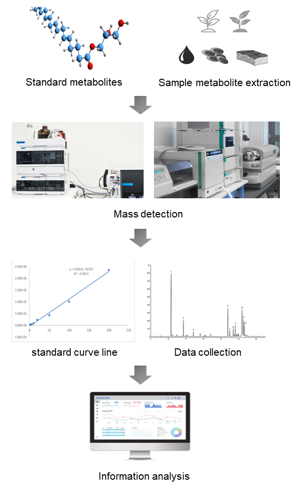 Technical Route of Targeted Metabolomics of Indole and Indole Sulfur Compounds