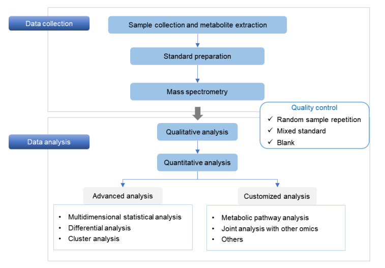 Inositol Phosphates Analysis Service