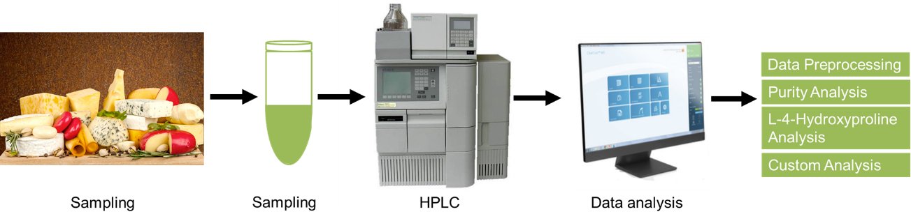 L-4-Hydroxyproline analysis service workflow. 