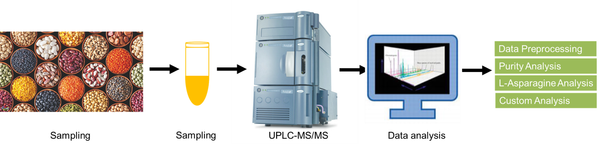 L-Asparagine analysis service workflow.
