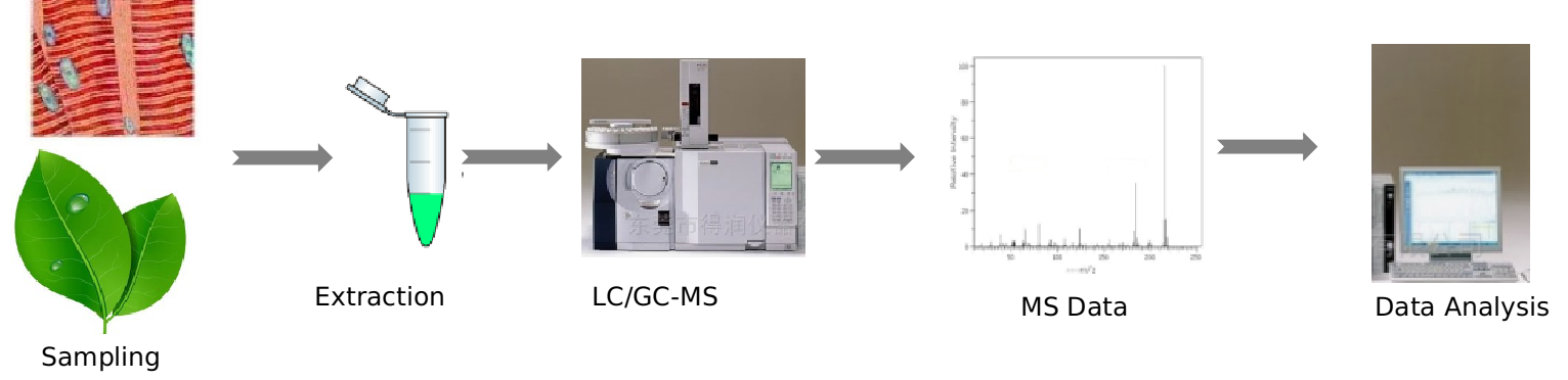 L-Histidine analysis service workflow.
