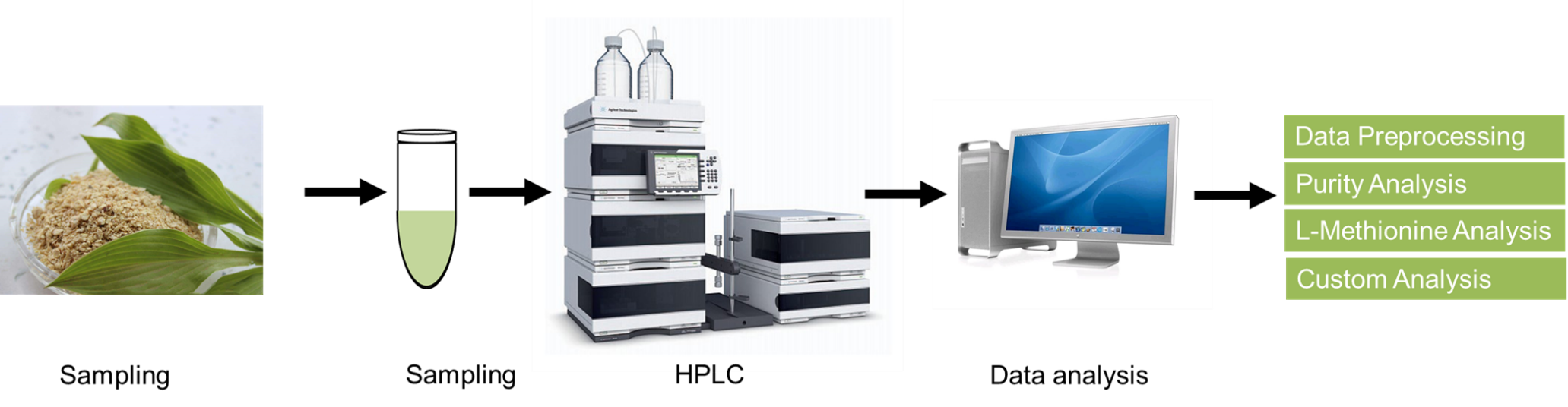 L-Methionine analysis service workflow.