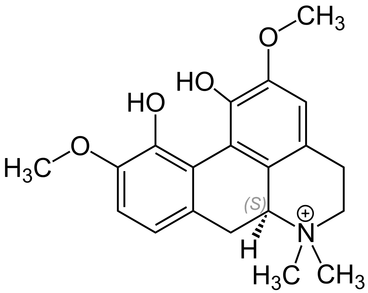 Molecular structure of magnoflorine