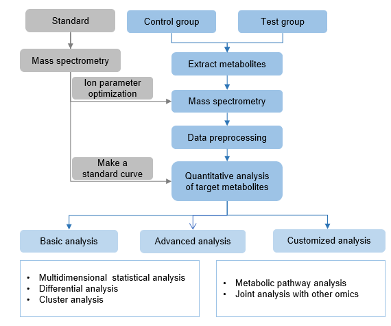 Workflow of targeted metabolomics service of magnoflorine