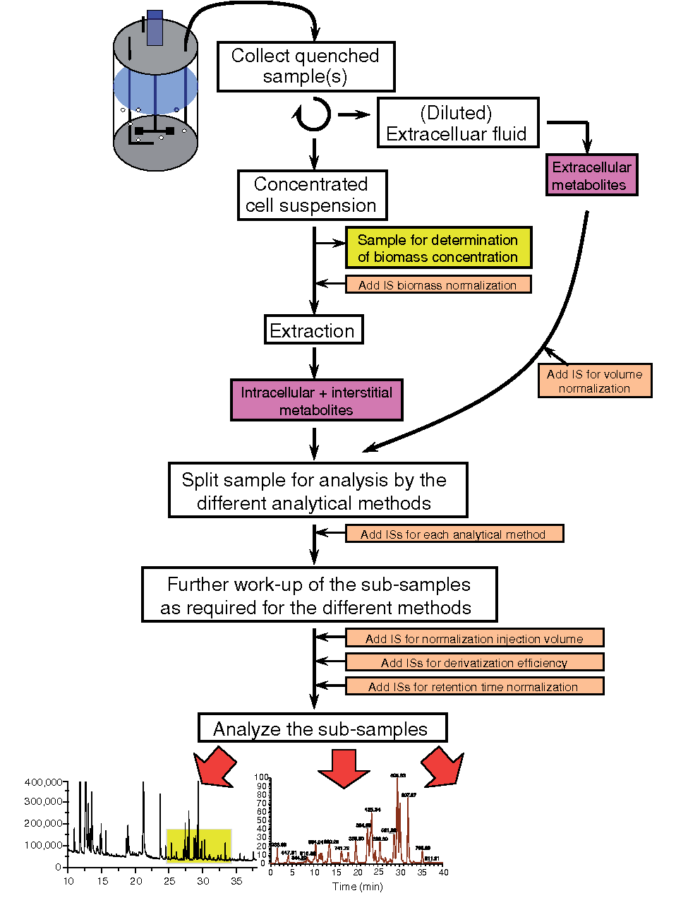 Workflow for quantitative microbial metabolome analysis