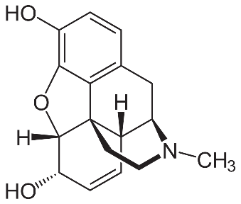 Molecular structure of morphine