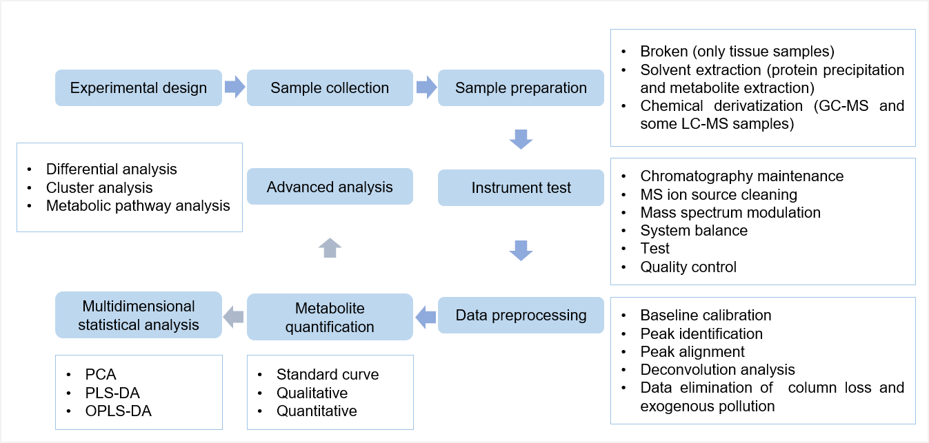 Workflow of targeted metabolomics service of morphine