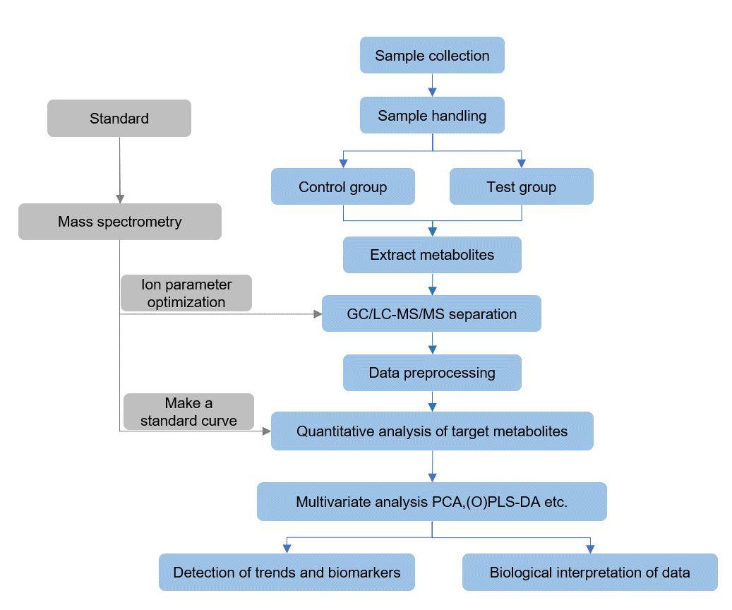 The technical route of targeted metabolomics of neurotoxins
