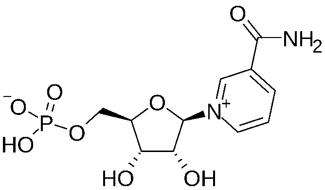 Molecular structure of nicotinamide mononucleotide