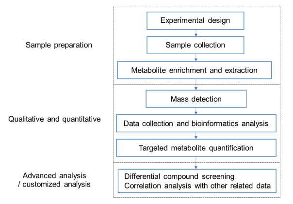 Nicotinate And Nicotinamide Analysis Service