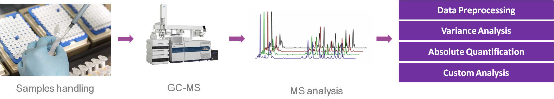 Octanoic acid analysis service workflow