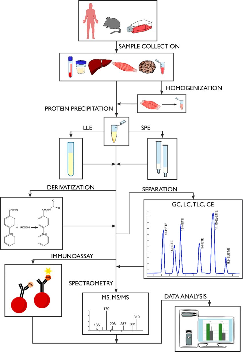Scheme of the complete analytical procedure of oxylipins