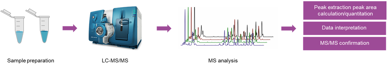 The overall workflow of pantothenate and CoA biosynthesis