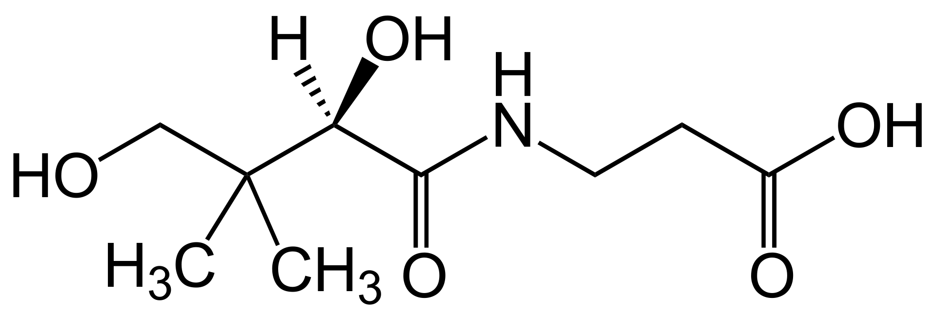 Molecular structure of pantothenic acid