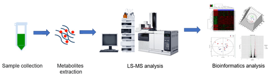 The overall workflow of pentose phosphate pathway metabolites analysis service.