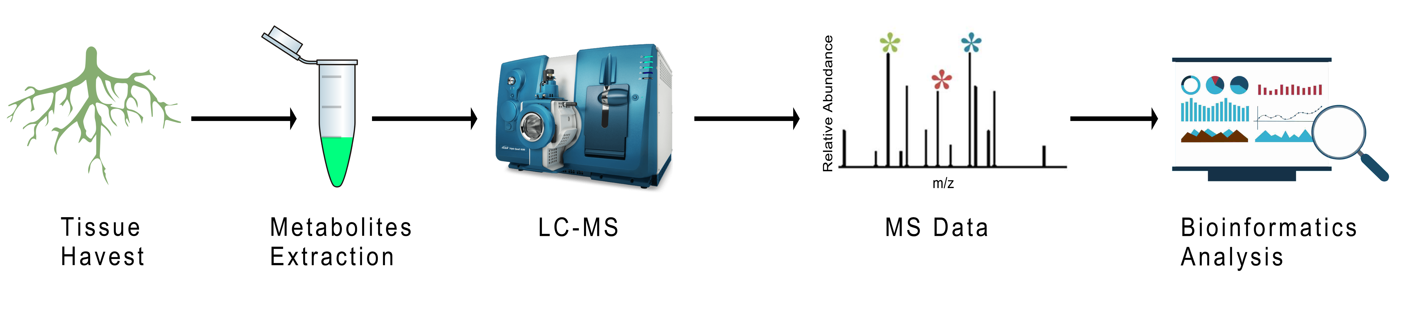Phytosulfokine (PSK) Analysis Service