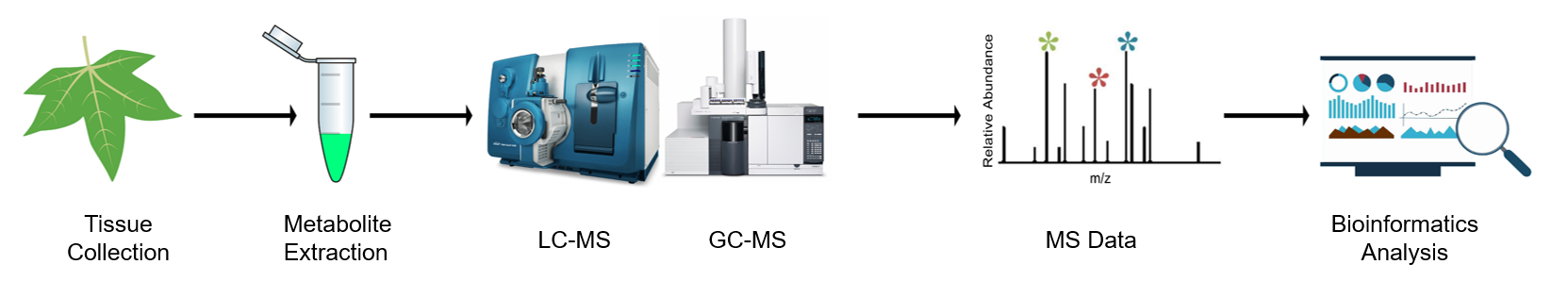 Plant Targeted Metabolomics Service