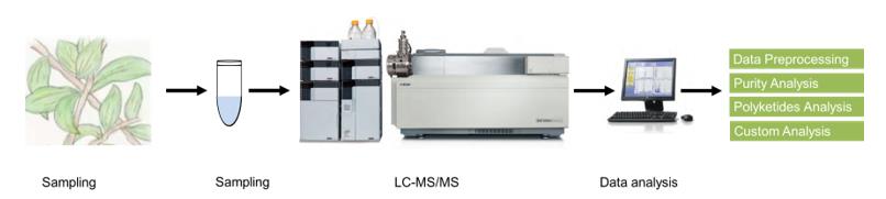Polyketides analysis service workflow.