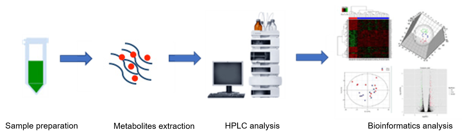 The overall workflow of porphyrin and chlorophyll metabolism