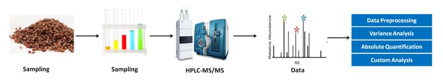 Rutin Analysis Service