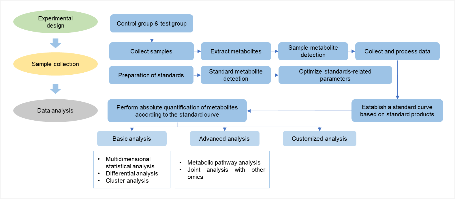 Workflow of targeted metabolomics service of scopolamine