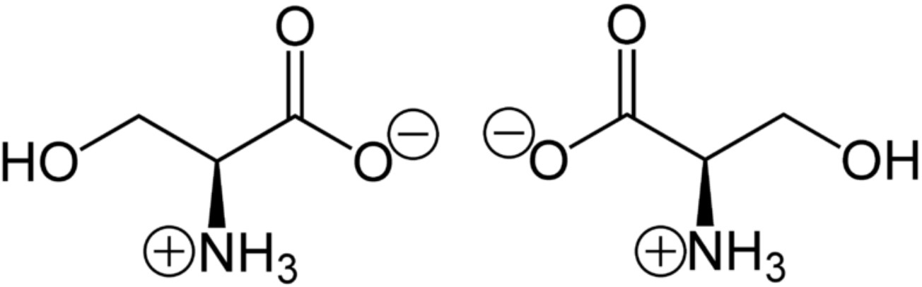 (S)-Serine (left) and (R)-serine (right) in zwitterionic form at neutral pH