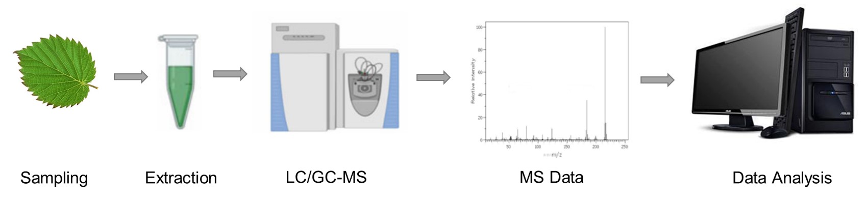 Serine analysis service workflow. 
