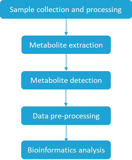 Process of Analysis 