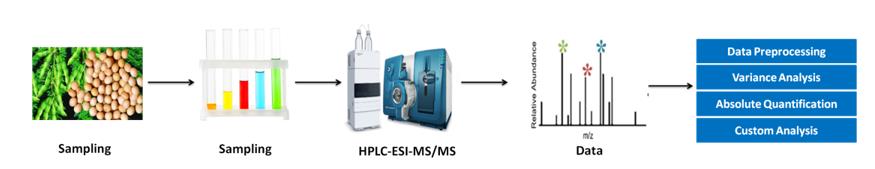 Soyasaponins analysis service workflow