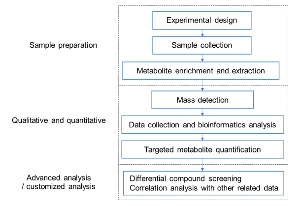 Sphingolipid Analysis Service